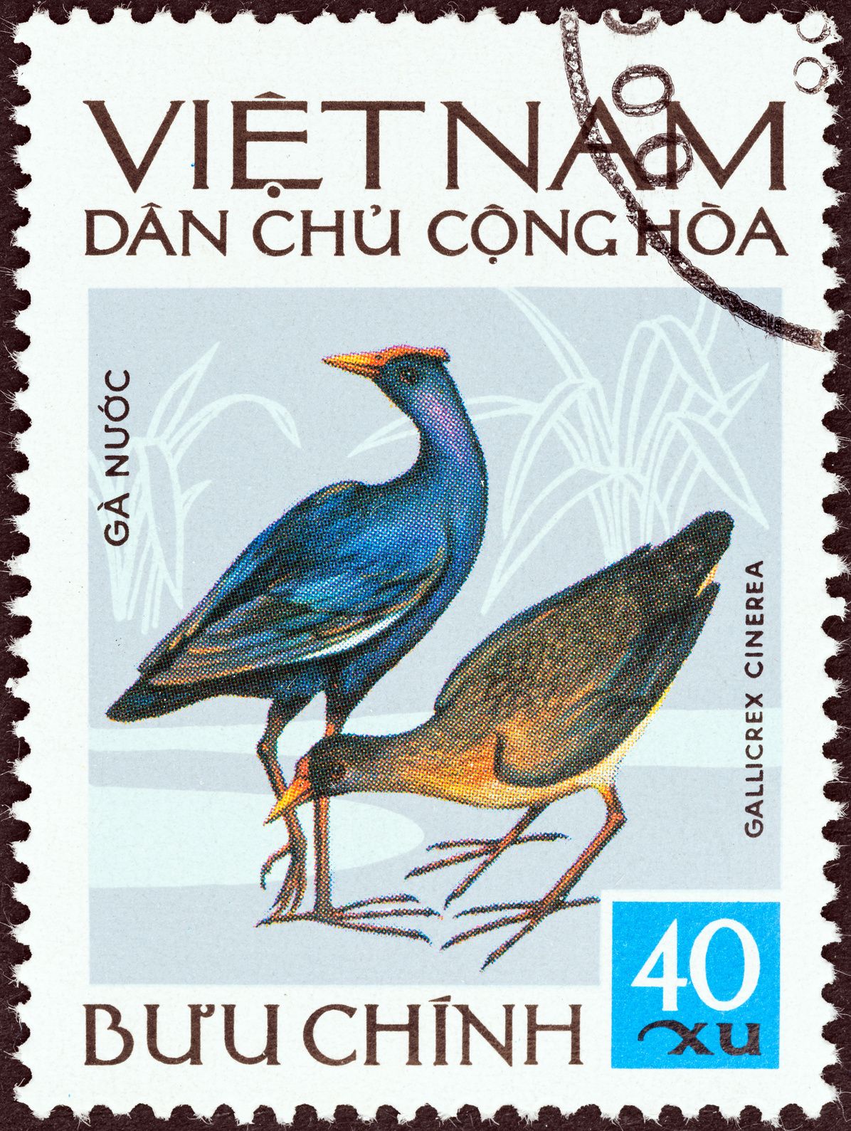 Wasserhahn (Vogel) auf Briefmarke