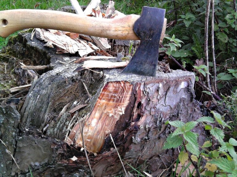 Holzmachen für den Winter – das wird benötigt und sollte beachtet werden