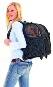 Blonde Frau mit Rucksacktrolley