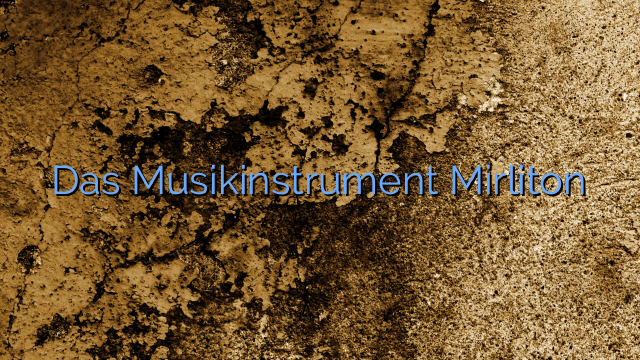 Das Musikinstrument Mirliton