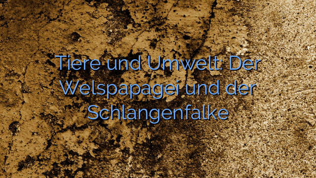 Tiere und Umwelt: Der Welspapagei und der Schlangenfalke